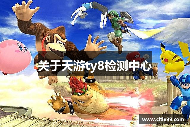 关于天游ty8检测中心